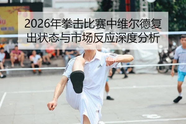 2026年拳击比赛中维尔德复出状态与市场反应深度分析