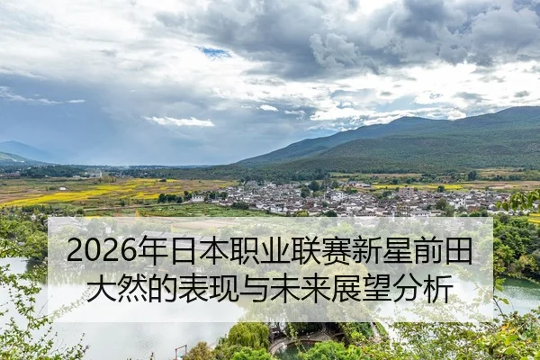 nian-ri-ben-zhi-ye-lian-sai-xin-xing-qian-tian-da-ran-de-biao-xian-yu-wei-lai-zhan-wang-fen-xi-2-524.jpg
