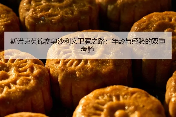 si-nuo-ke-ying-jin-sai-ao-sha-li-wen-wei-mian-zhi-lu-nian-ling-yu-jing-yan-de-shuang-chong-kao-yan-2-201.jpg